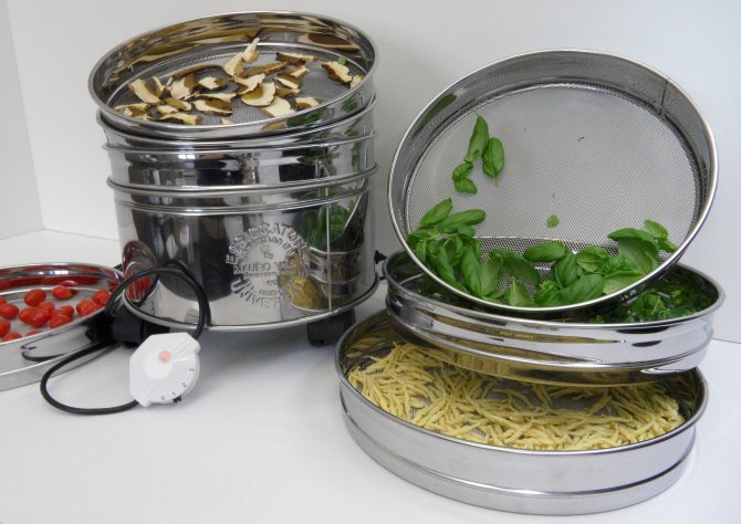 Discover The Many Uses Of A Dehydrator