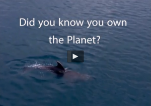 didyouknow