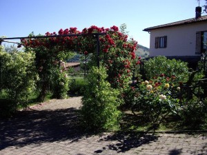 Giardino_Cascina