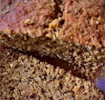 Torta Di Arancio E Zenzero